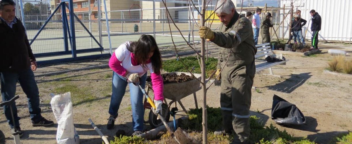 Nuestros voluntarios y sus familiares plantan árboles en Colegio Puente Maipo de Fundación Nocedal