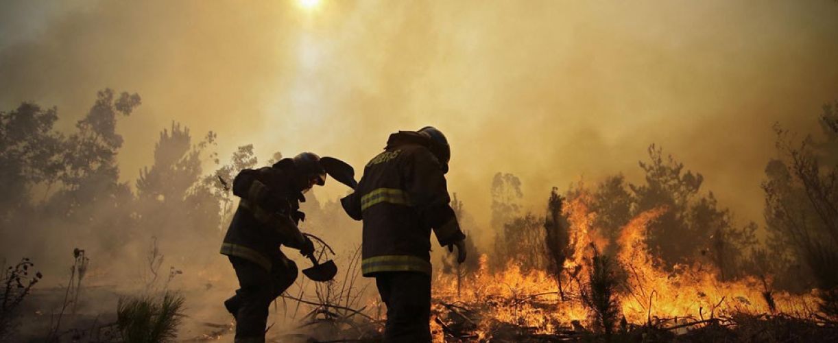 Apoyamos a damnificados por los incendios de la zona central