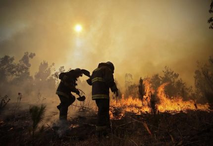 Apoyamos a damnificados por los incendios de la zona central