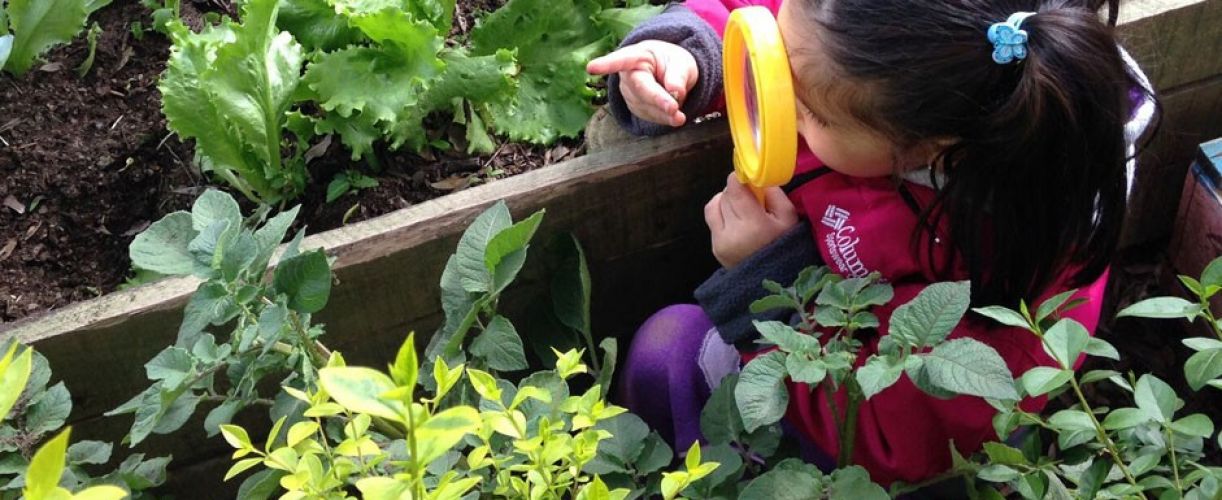 Comienza el programa “Naturalizar Educativamente”