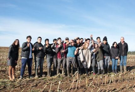 Los ganadores del Fondo Concursable 2020: ONG Canales