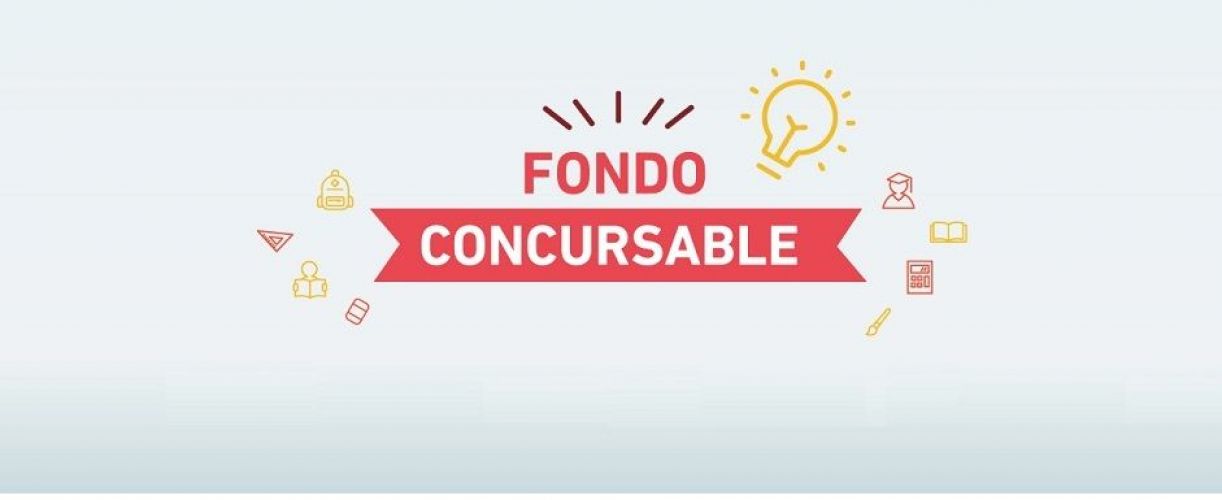 Conoce los proyectos ganadores del Fondo Concursable Fundación LarrainVial 2021