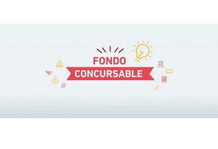 Conoce los proyectos ganadores del Fondo Concursable Fundación LarrainVial 2021