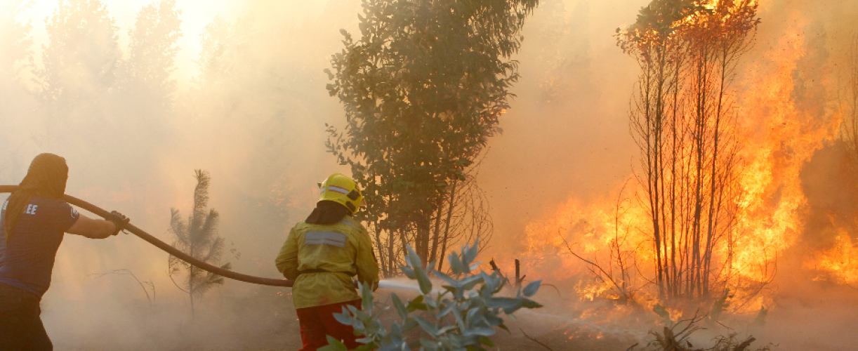 Colaboradores apoyan a damnificados por Incendios
