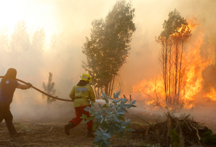 Colaboradores apoyan a damnificados por Incendios