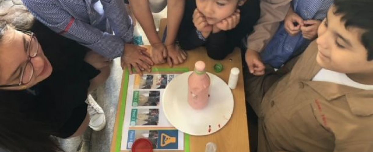 FUNDACIÓN CREANDO CURIOSOS - Caja Curiosa: Ciencia para la Primera Infancia