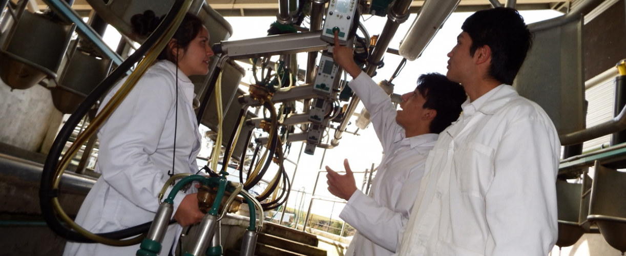 CORPORACIÓN SNA EDUCA - Grupos Focalizados de Fluidez Lectora