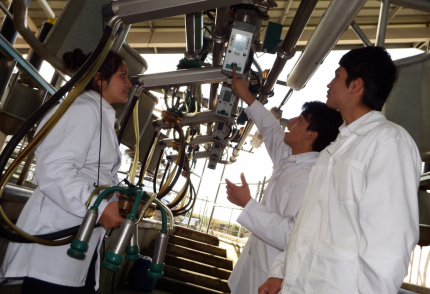 CORPORACIÓN SNA EDUCA - Grupos Focalizados de Fluidez Lectora